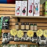 Store – gallery image 10