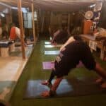 Store – gallery image 9