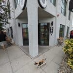 Store – gallery image 10