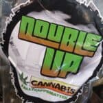 Store – gallery image 3