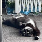 Store – gallery image 7