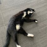 Store – gallery image 10