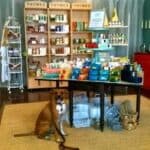 Store – gallery image 5