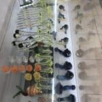 Store – gallery image 9