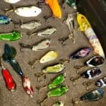 Store – gallery image 10