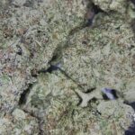 Store – gallery image 3