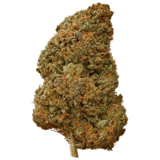 Plain Jane – Delta 8 Sour Space Candy Hemp Flower Featured Image