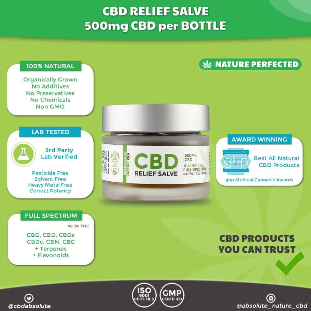 Absolute Nature CBD – Full Spectrum CBD Topical Salve – 500mg CBD Featured Image