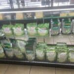 Store – gallery image 10