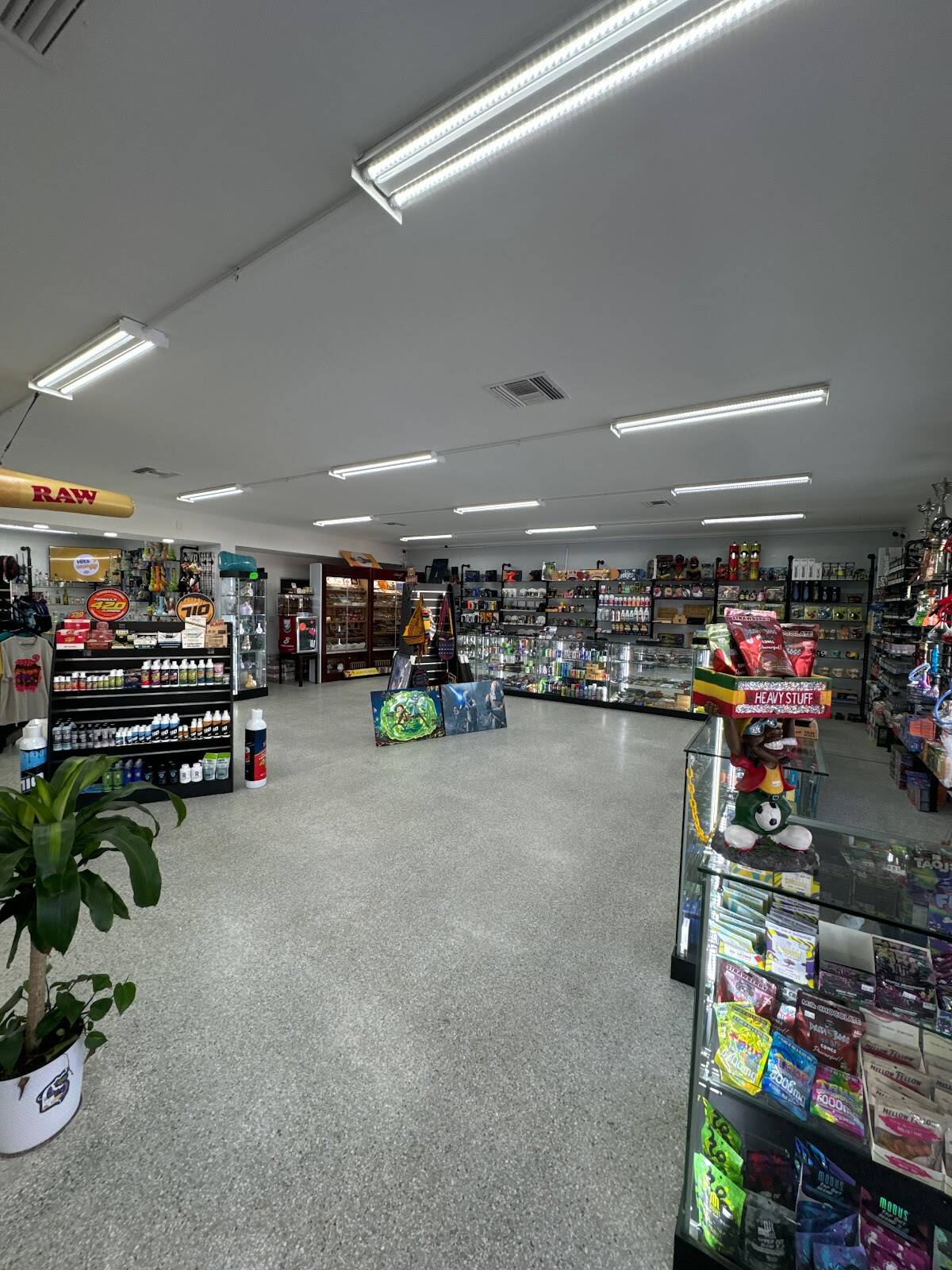 Store – gallery image 3