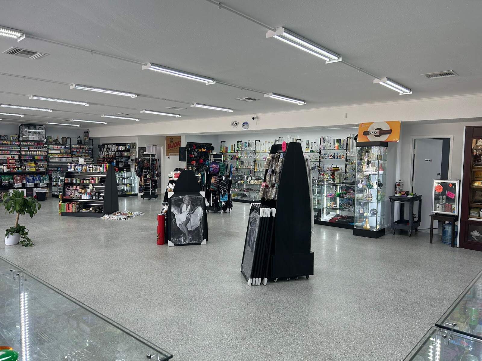 Store – gallery image 7