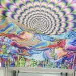 Store – gallery image 10