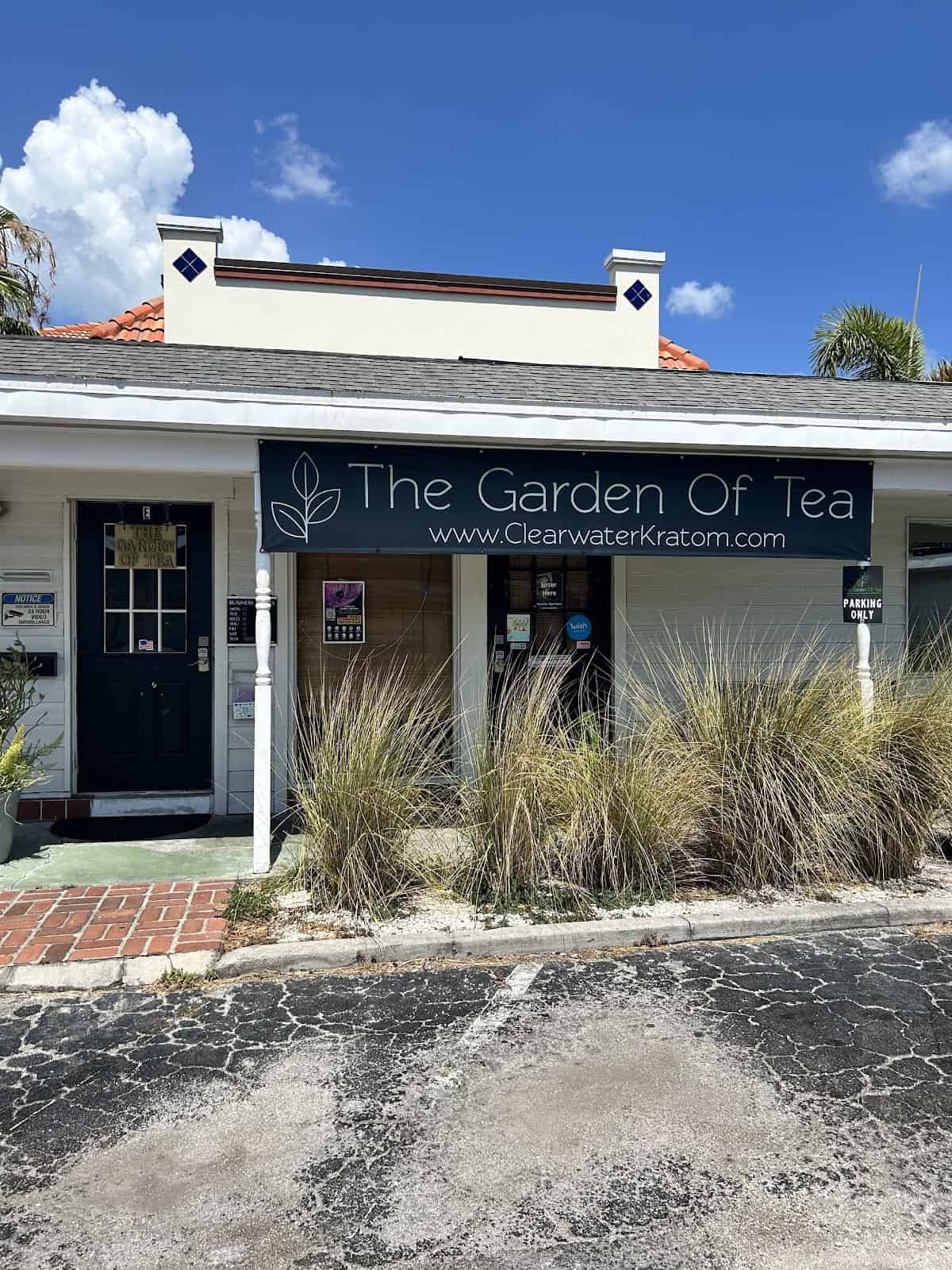 Main Store Image