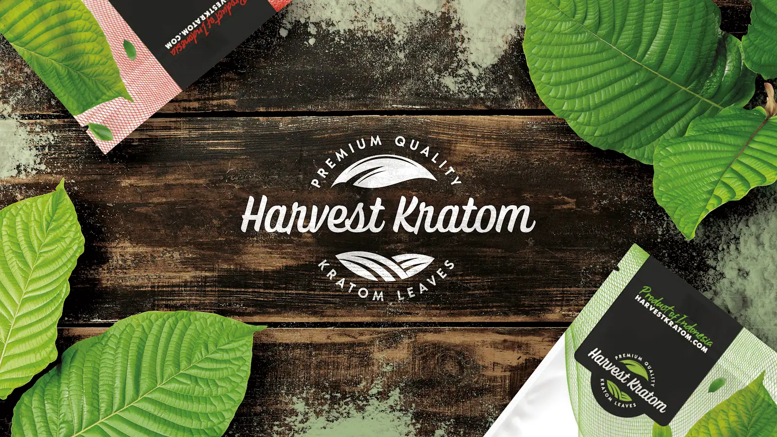 Store – main photo