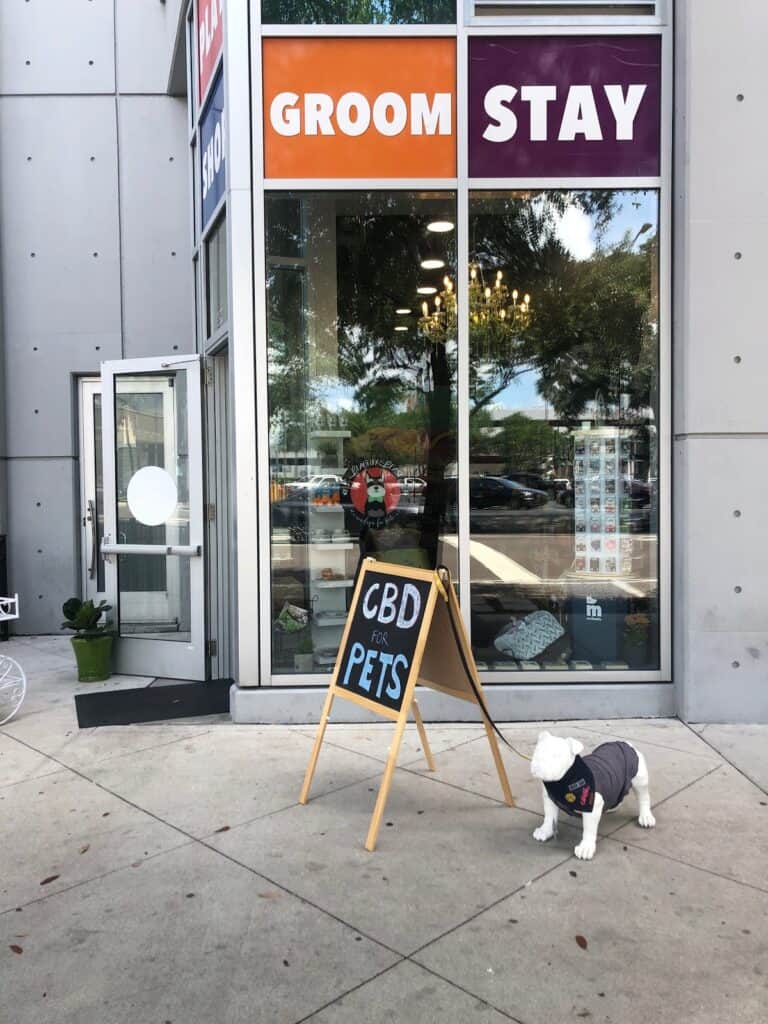 Store – main photo