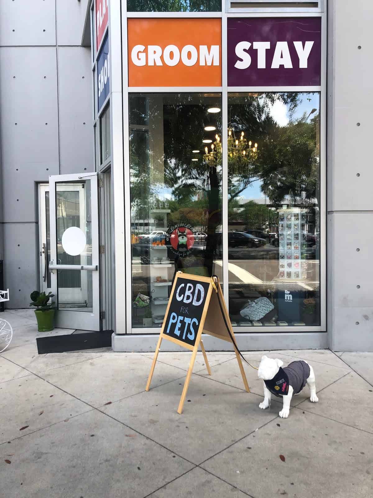 Main Store Image