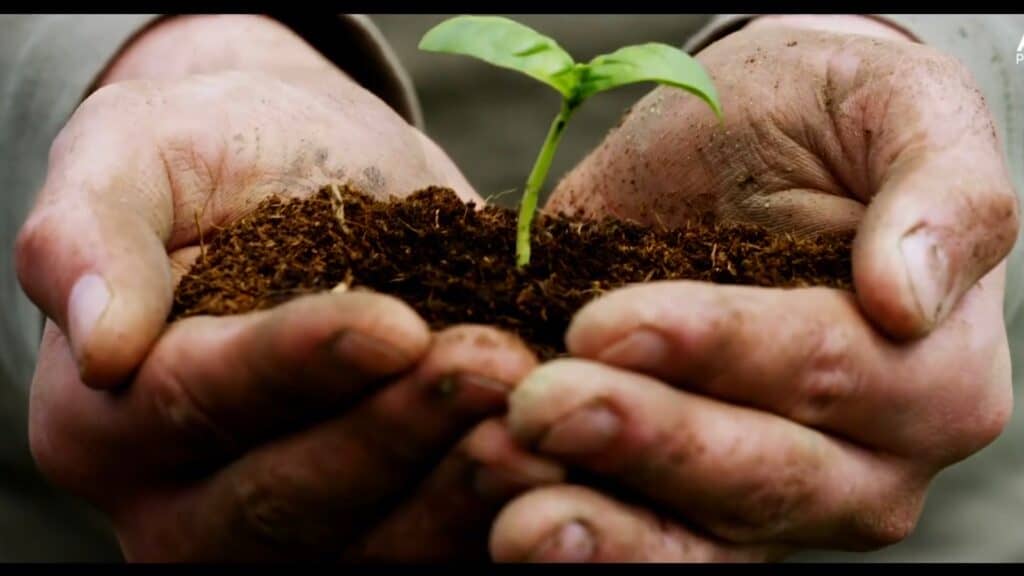 Store – main photo