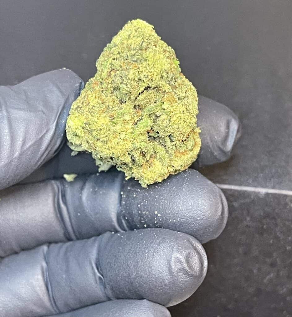 Store – main photo