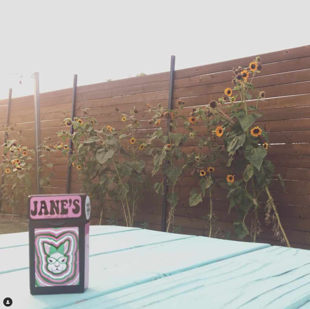 Store – main photo