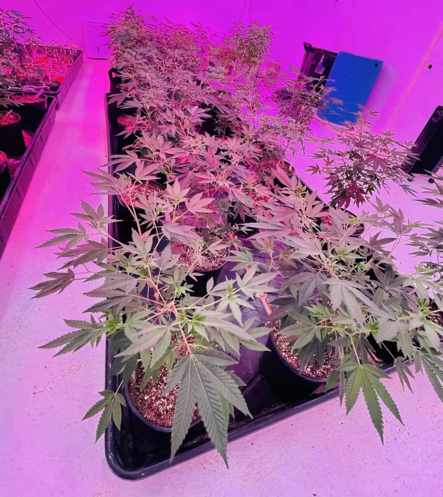 Store – main photo