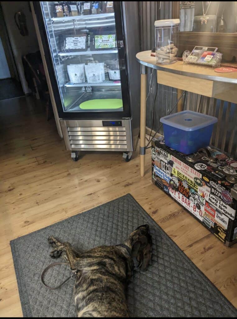 Store – main photo