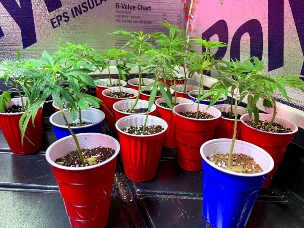 Store – main photo