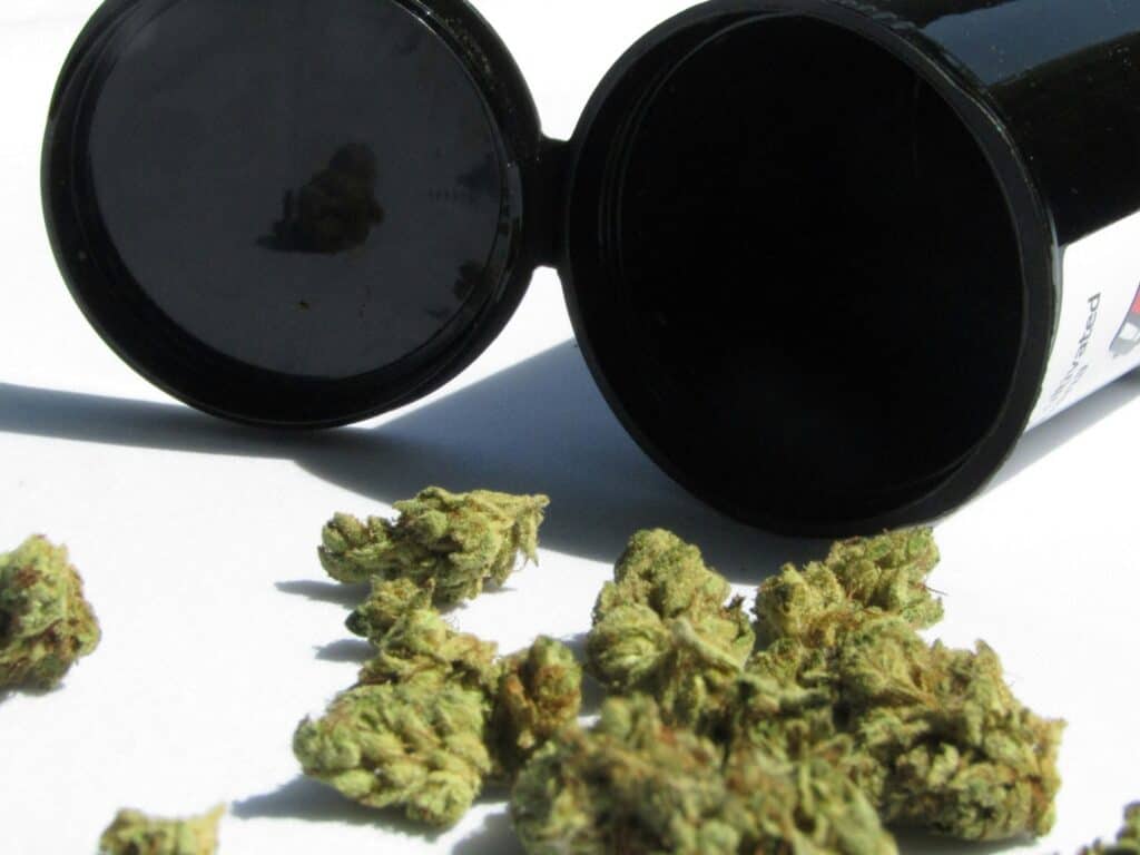 Popcorn Buds: What Are They & Are They Good For You?