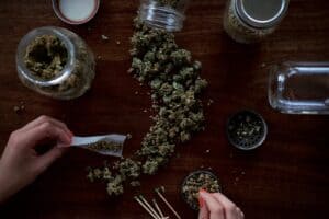 What Makes Chronic Cannabis a Top Strain Choice?