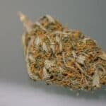 What Is Ganja and Why Is It Popular in Cannabis Culture?