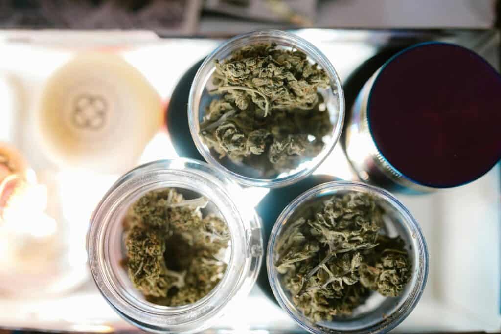 What Is Kush? Unpacking the Popular Cannabis Strain