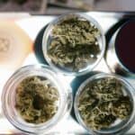 What Is Kush? Unpacking the Popular Cannabis Strain