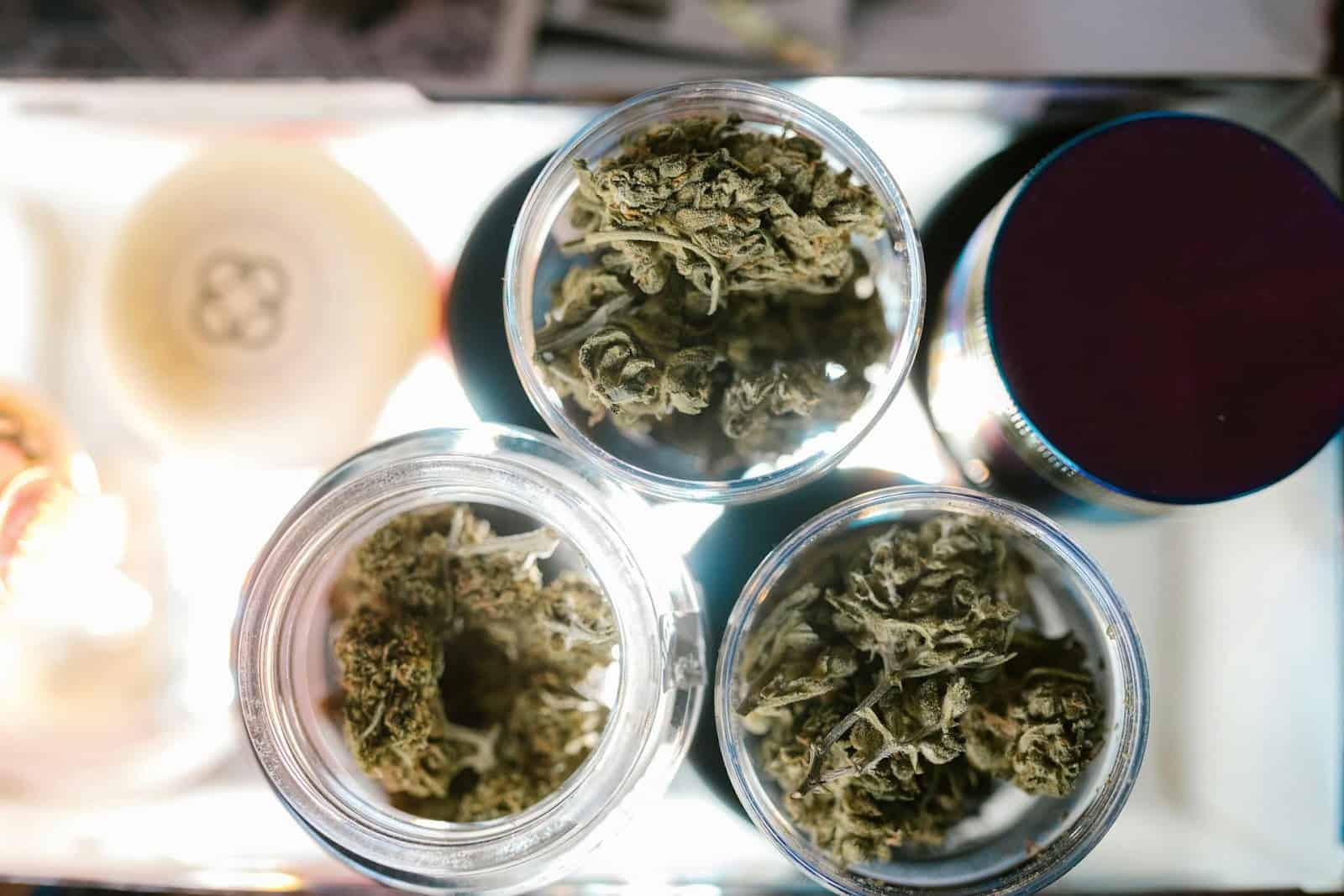 What Is Kush? Unpacking the Popular Cannabis Strain