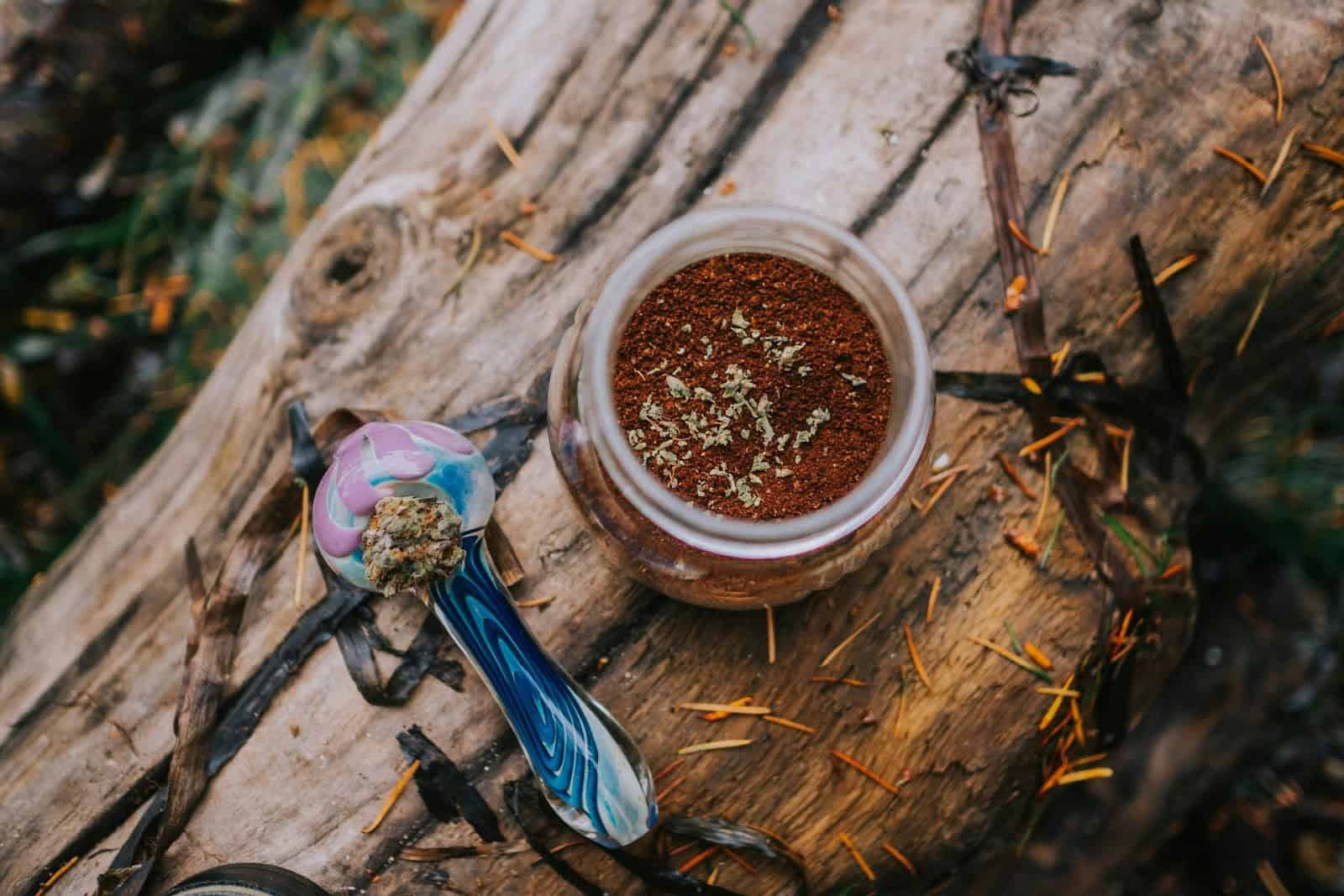 Cannabis Seed Banks: Everything You Need to Know About Cannabis Banks