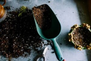 The Best Soil for Growing Cannabis: A Guide for Every Grower