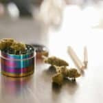 What is Cannabis Indica: Indica vs. Sativa vs. Hybrid Strains and Effects