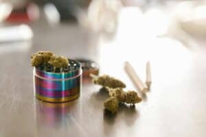 What is Cannabis Indica: Indica vs. Sativa vs. Hybrid Strains and Effects