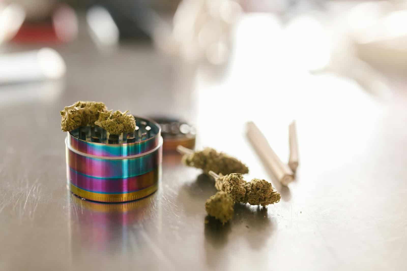 What is Cannabis Indica: Indica vs. Sativa vs. Hybrid Strains and Effects
