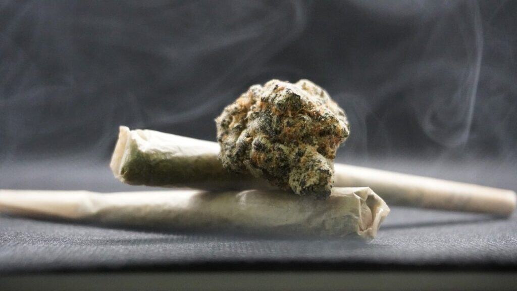 Cone-Shaped Cannabis: Exploring Its Unique Benefits and Uses