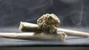 Cone-Shaped Cannabis: Exploring Its Unique Benefits and Uses