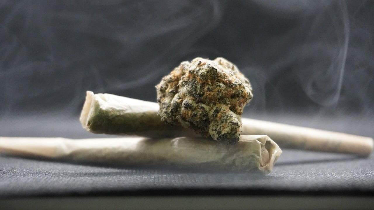 Cone-Shaped Cannabis: Exploring Its Unique Benefits and Uses