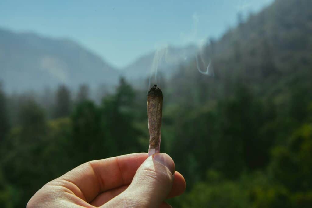 Understanding the Cannabis Roach: Tips for Safe and Effective Use