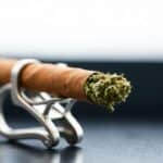 The Essential Cannabis Roach Clip: Your Guide to Smoking Convenience