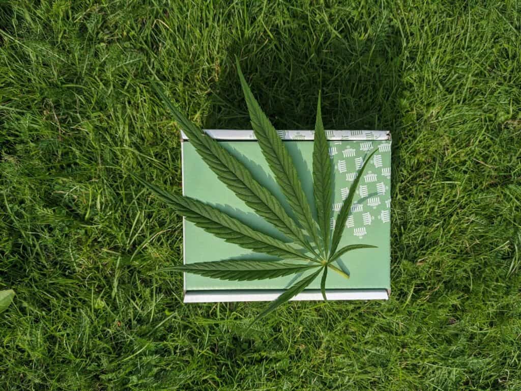 What Are Bubble Bags, and How Are They Used for Cannabis Extraction?