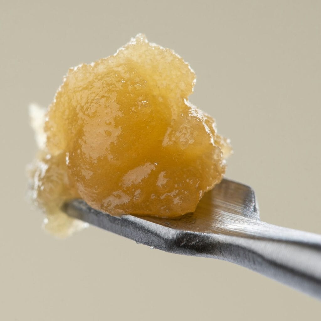 Live Rosin: Everything You Need to Know About This Cannabis Concentrate Extraction