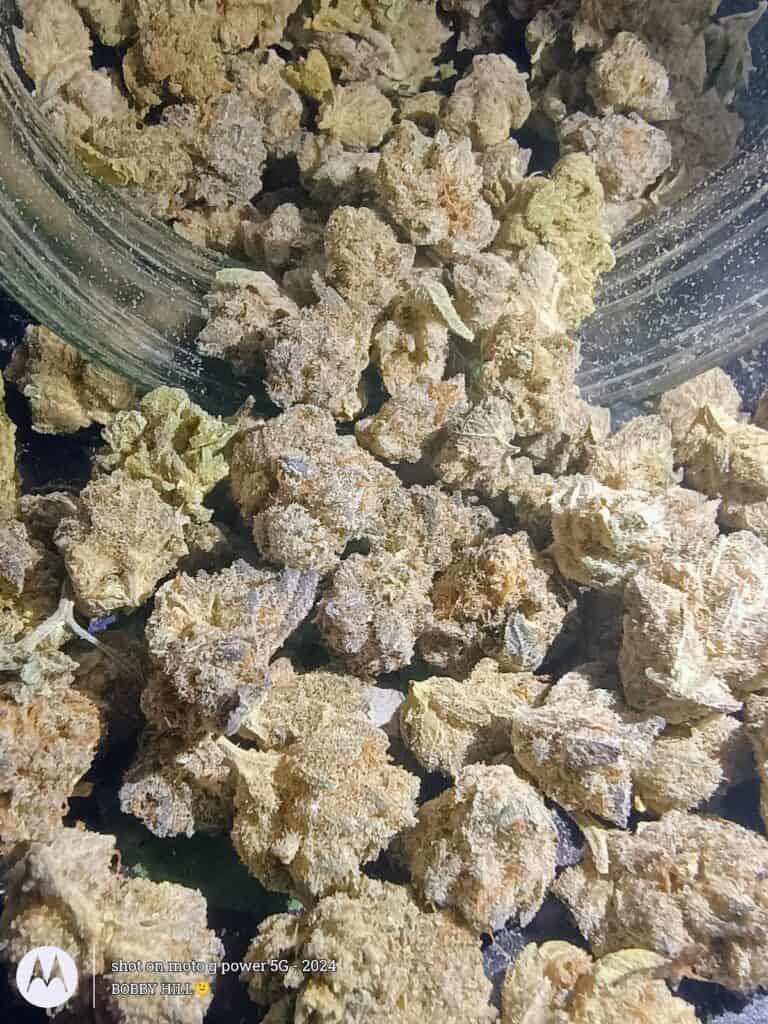 Store – main photo