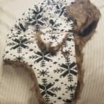 Store – gallery image 6