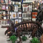 Store – gallery image 2