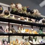 Store – gallery image 3