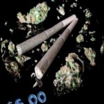 Store – gallery image 4