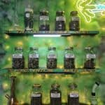 Store – gallery image 6